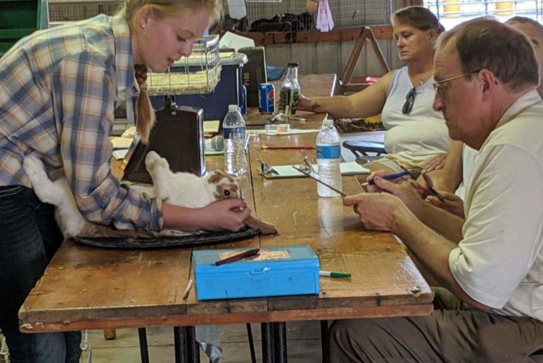 4-H expands horizons, grateful member attests